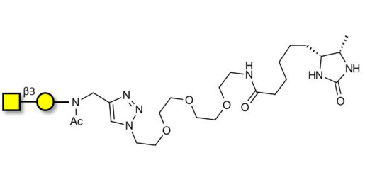 Gb4 Globoside terminal linked to desthiobiotin (Linker-DBT-A)