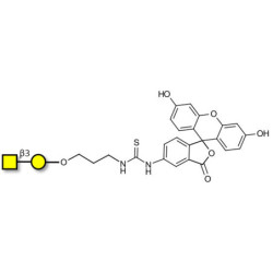 Gb4 Globoside terminal linked to fluorescein (Linker-FLUO A)