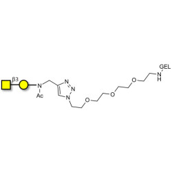Gb4 Globoside terminal grafted on gel for affinity chromatography (Linker-GEL A)