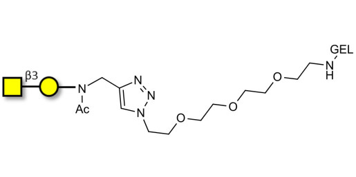 Gb4 Globoside terminal grafted on gel for affinity chromatography (Linker-GEL A)