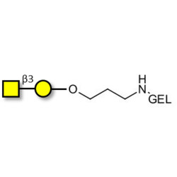 Gb4 Globoside terminal grafted on gel for affinity chromatography (Linker-GEL B)