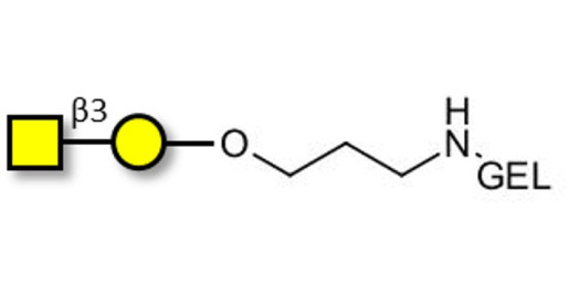 Gb4 Globoside terminal grafted on gel for affinity chromatography (Linker-GEL B)