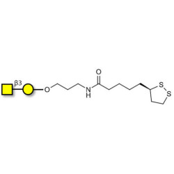 Gb4 Globoside terminal with cyclic di-thiol (Linker-LIPO A)