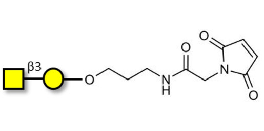 Gb4 Globoside terminal linked to maleimide (Linker-MAL A)