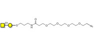 Gb4 Globoside terminal with...