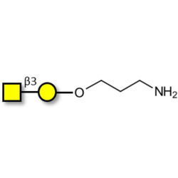 Gb4 Globoside terminal with free terminal amine (Linker-NH2 A)