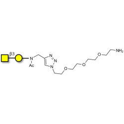 Gb4 Globoside terminal with free terminal amine (Linker-NH2 B)
