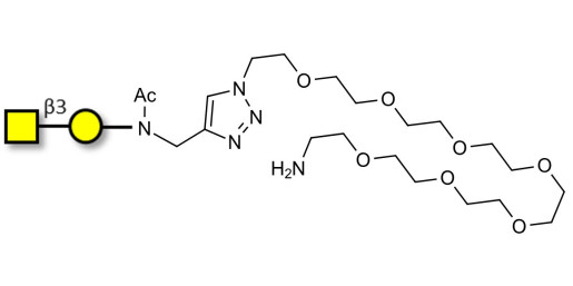 Gb4 Globoside terminal with free terminal amine (Linker-NH2 C)