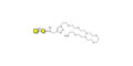 Gb4 Globoside terminal with free terminal amine (Linker-NH2 C)