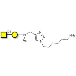 Gb4 Globoside terminal with free terminal amine (Linker-NH2 D)