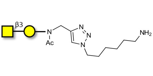 Gb4 Globoside terminal with free terminal amine (Linker-NH2 D)