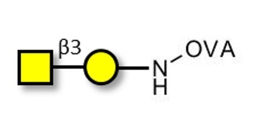 Gb4 Globoside terminal grafted on OVA