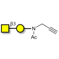 Gb4 Globoside terminal with terminal alkyne (Linker-CΞCH A)