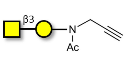 Gb4 Globoside terminal with terminal alkyne (Linker-CΞCH A)