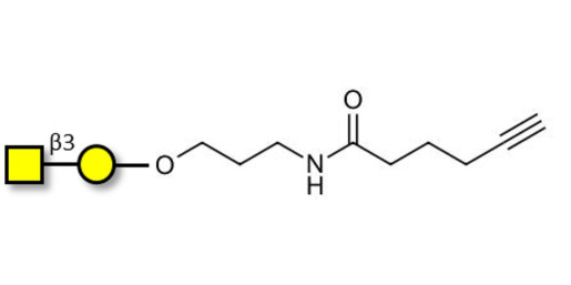 Gb4 Globoside terminal with terminal alkyne (Linker-CΞCH C)