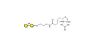 α1-4 galactobiose linked to...