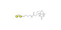 α1-4 galactobiose linked to biotin (Linker-BT B)
