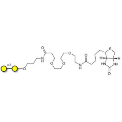 α1-4 galactobiose linked to biotin (Linker-BT C)