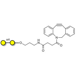 α1-4 galactobiose with DBCO (Linker-DBCO A)