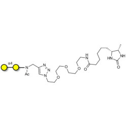 α1-4 galactobiose linked to desthiobiotin (Linker-DBT-A)
