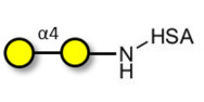 α1-4 galactobiose grafted...