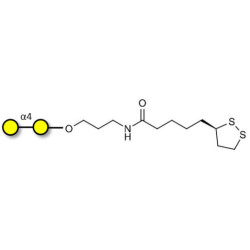 α1-4 galactobiose with cyclic di-thiol (Linker-LIPO A)