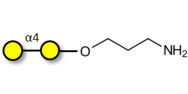 α1-4 galactobiose with free...