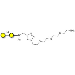 α1-4 galactobiose with free terminal amine (Linker-NH2 B)