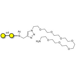 α1-4 galactobiose with free terminal amine (Linker-NH2 C)