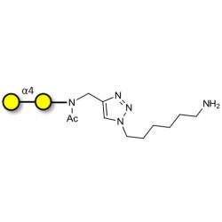 α1-4 galactobiose with free terminal amine (Linker-NH2 D)