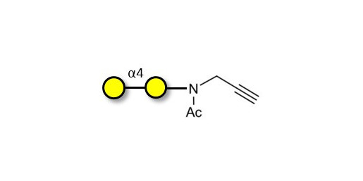α1-4 galactobiose with terminal alkyne (Linker-CΞCH A) - GLY154-NPR