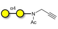 α1-4 galactobiose with...