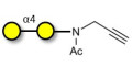 α1-4 galactobiose with terminal alkyne (Linker-CΞCH A) - GLY154-NPR