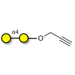 α1-4 galactobiose with terminal alkyne (Linker-CΞCH B)