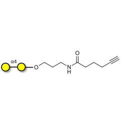 α1-4 galactobiose with terminal alkyne (Linker-CΞCH C)