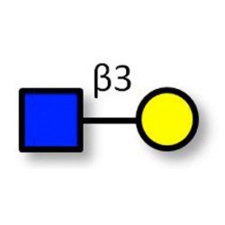 GlcNAcβ1-3Gal (>85% NMR)