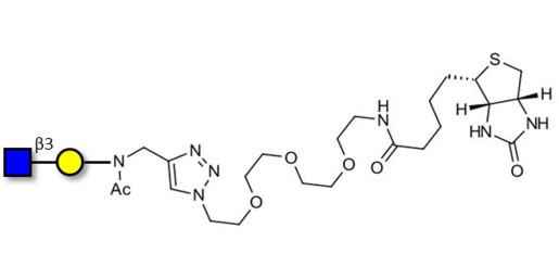 GlcNAcβ1-3Gal linked to biotin (Linker-BT A)
