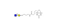 GlcNAcβ1-3Gal linked to...