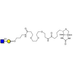 GlcNAcβ1-3Gal linked to biotin (Linker-BT C)