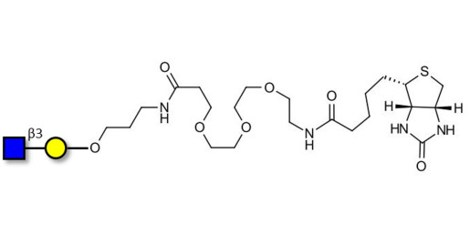 GlcNAcβ1-3Gal linked to biotin (Linker-BT C)