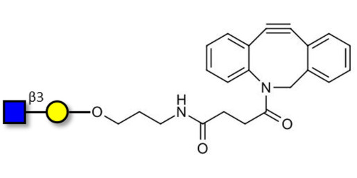 GlcNAcβ1-3Gal with DBCO (Linker-DBCO A)