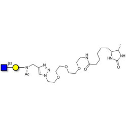 GlcNAcβ1-3Gal linked to desthiobiotin (Linker-DBT-A)
