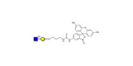GlcNAcβ1-3Gal linked to...