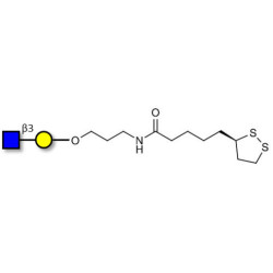 GlcNAcβ1-3Gal with cyclic di-thiol (Linker-LIPO A)