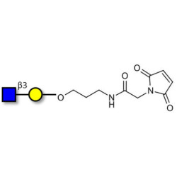 GlcNAcβ1-3Gal linked to maleimide (Linker-MAL A)