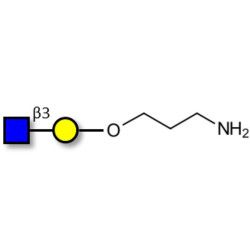 GlcNAcβ1-3Gal with free terminal amine (Linker-NH2 A)