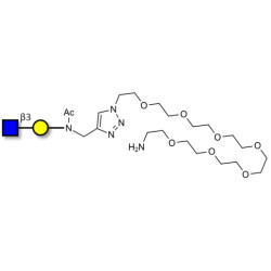 GlcNAcβ1-3Gal with free terminal amine (Linker-NH2 C)