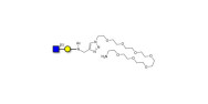 GlcNAcβ1-3Gal with free...