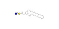 GlcNAcβ1-3Gal with free terminal amine (Linker-NH2 C)