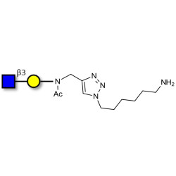 GlcNAcβ1-3Gal with free terminal amine (Linker-NH2 D)